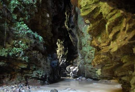 Cueva de los Tayos EcuRed
