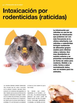Intoxicación por raticidas anticoagulantes.jpg