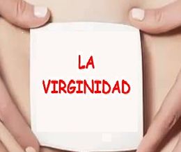 La-virginidad.jpg