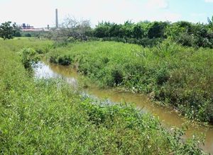 Rio-baguanos.jpg