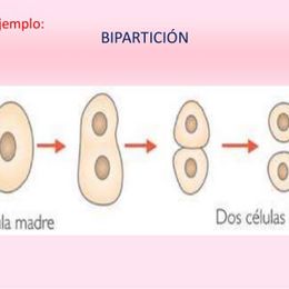 Biparticion.jpg