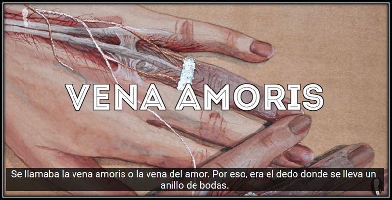 Archivo:Vena amoris.jpg