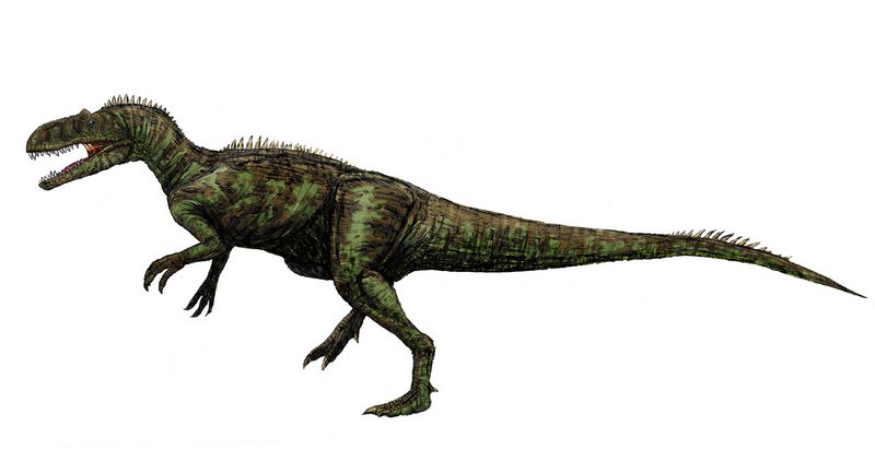 Archivo:Chilantaisaurus.jpg