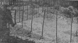 Lugar asesinato.jpg