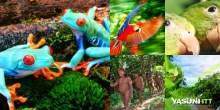 PicMonkey Collage.jpg