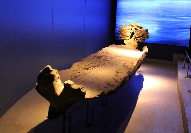Archivo:Wampo en exhibición1.jpg