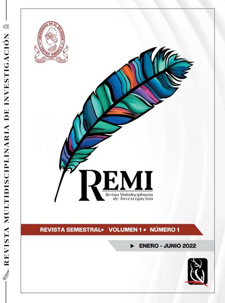 Archivo:Revista REMI.jpg