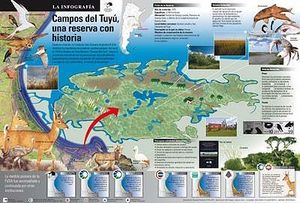 7. infografia-campos-tuyu-baja.jpg