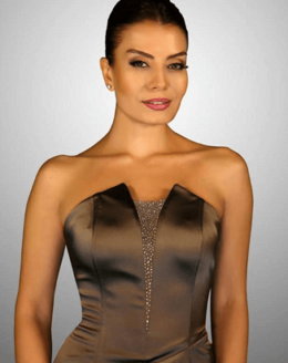 Ayşen Gürler - EcuRed