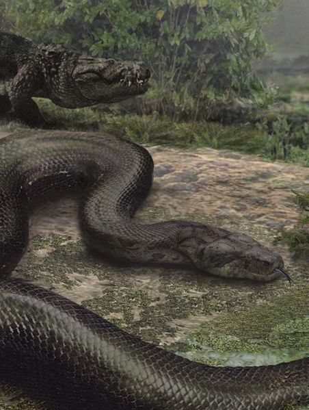 Archivo:Gigantophis garstini.jpg