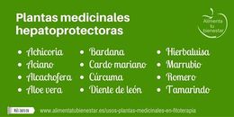 Hepatoprotectoras.jpeg