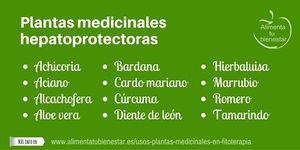 Hepatoprotectoras.jpeg