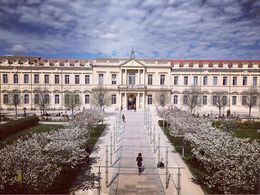 Univ Avignon.jpg