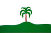 Bandera de Palmeira das Missões
