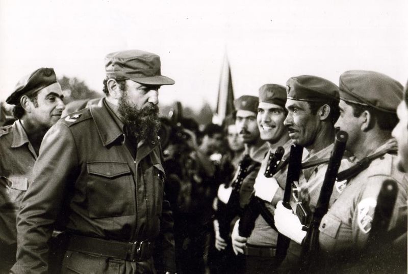 Archivo:MTT 1.jpg