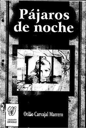 Pajaros de noche.JPG