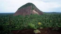 Parque-Nacional-Puinawai.jpg