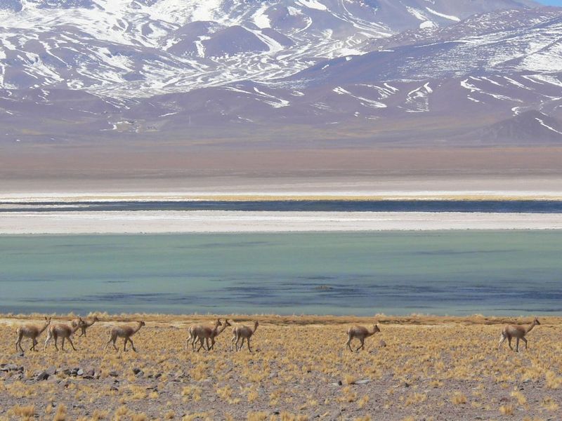 Archivo:ParqueNevado Tres Cruces3.jpg