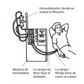 Miniatura de la versión del 08:45 4 abr 2011