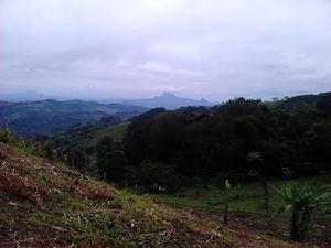 104100524 TITLA.jpg