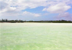 Cayo Blanquizal.png