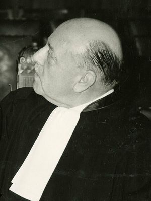 Maurice Bourguin.jpeg
