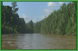 Río Tuy.png