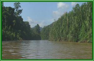 Río Tuy.png