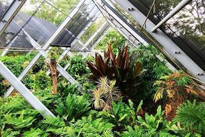 Jardin-botánico-1-580x386.jpg