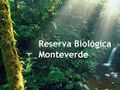 Miniatura de la versión del 08:20 17 abr 2018
