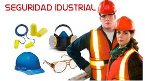 Seg industrial.jpg