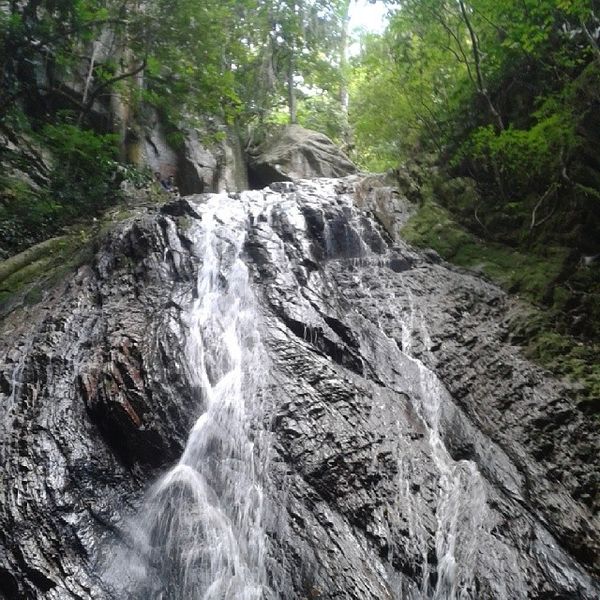 Archivo:Cascada de Navas.jpg
