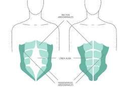 Diastasis 2.jpg
