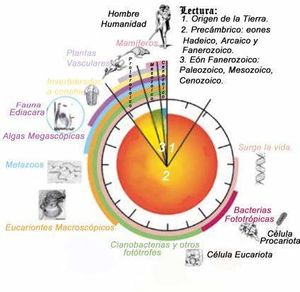 Escala geológica de la tierra.jpg