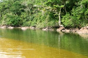 Lago de Amapá.jpg