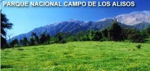 Campo los Alisos.jpg