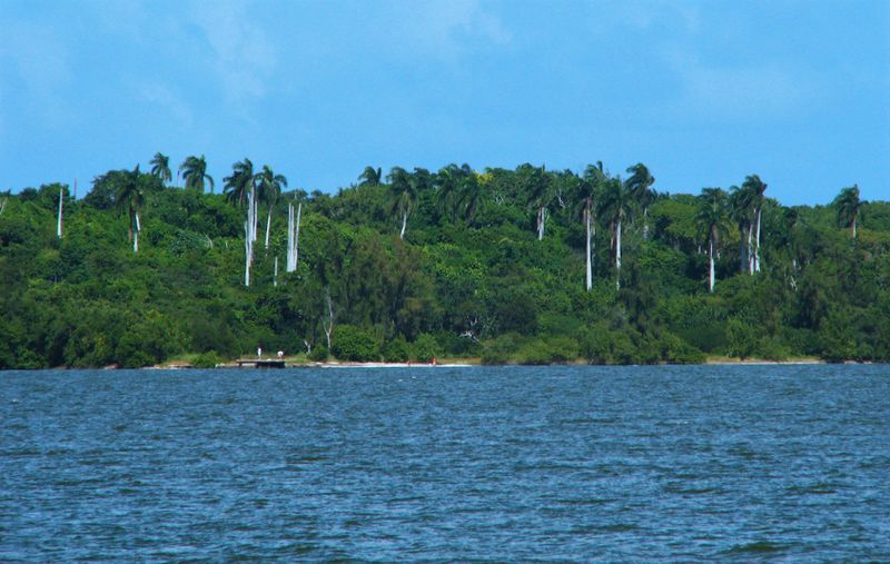 Archivo:Cayo Conuco 020.jpg
