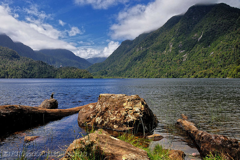 Archivo:Lago Sargazo.jpg