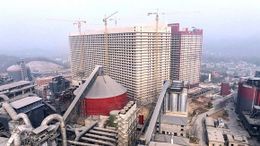 Planta-porcina-de-China-(1).jpg