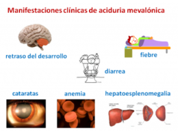 Aciduria mevalonica.png