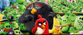 Angry-Birds-Movie-2.jpg