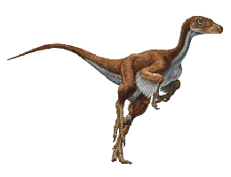 Dromaeosaurus.gif