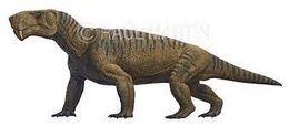 Gorgonopsia.jpg