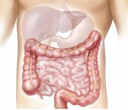 Img cuales son las causas de la obstruccion intestinal 22182 600.jpg