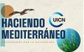 Miniatura de la versión del 09:36 10 sep 2024