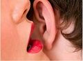 Besoooo111.jpg