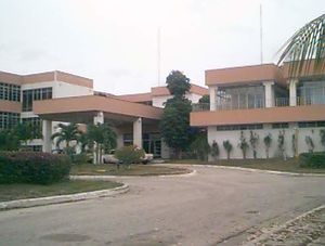 IB de las Plantas.jpg