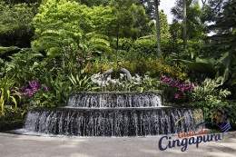Jardín Botánico de Singapur.jpg