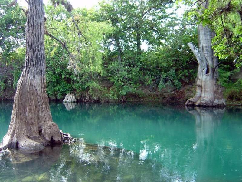 Archivo:Lagartero3.jpg