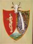 Escudo de Campohermoso